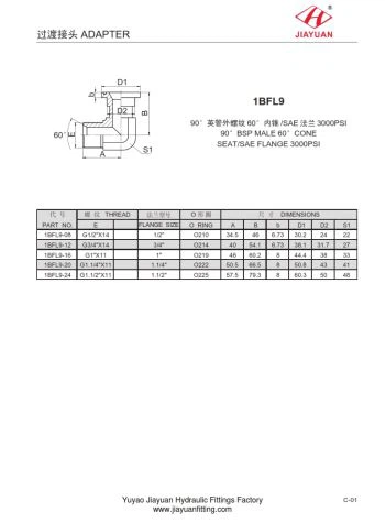 SAE 3000 Prirobnica prirobnice BSP 60